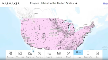 Esri StoryMap - Biology - Coyotes